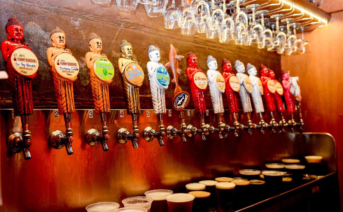 funky buddha brewing porn pint night